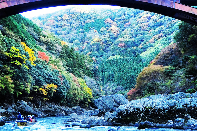 جولة تاكسي خاصة في كيوتو مع مصور ومرشد سياحي مرخص، 8 أشخاص