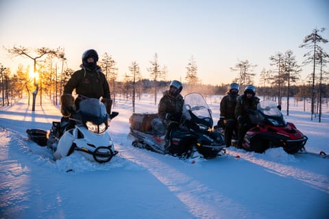 Ranua: Schneemobil-Safari mit ortskundigem Guide, 2 Stunden