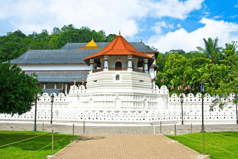 6-Day Sri Lanka Tour: Pinnawala, Kandy & Gem Capital All-Inclusive Package with 3-Star Hotels