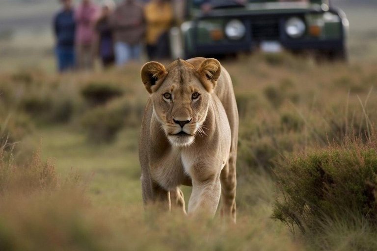 Passeio guiado de meio dia pelo Parque Nacional de Nairobi