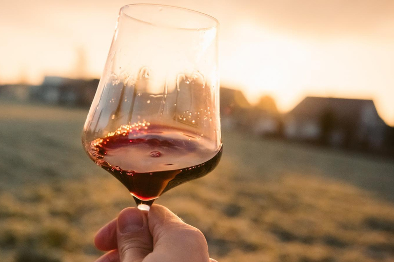 Bordeaux: Médoc Wine Route Private Day Tour & Picnic Lunch