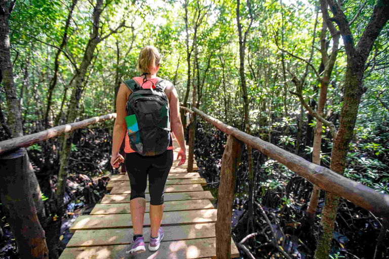Zanzibar : Forêt de Jozani, promenade dans la nature et visite de la faune et de la flore