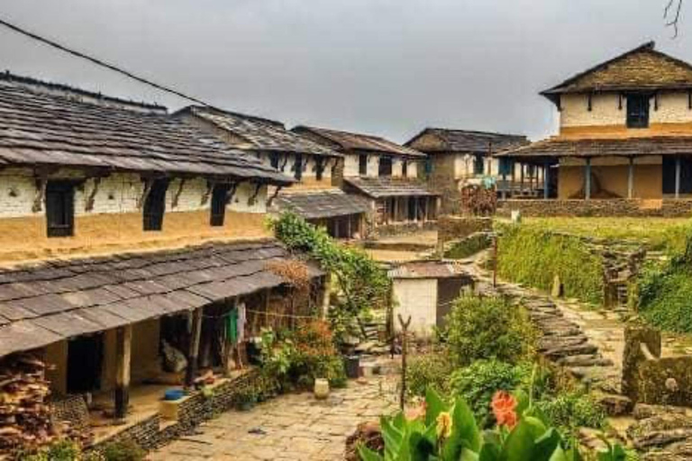 Pokhara : Trek de 3 jours à Astam, Dhampus et Australian CampPokhara : 3 jours de service