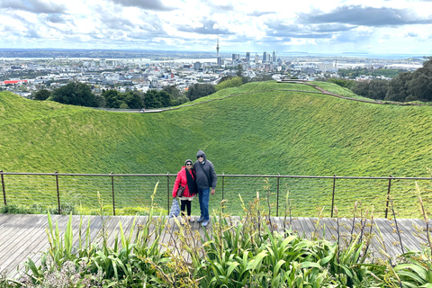 Visite d&#039;une demi-journée à Auckland City Top Spots (visite en petit groupe)