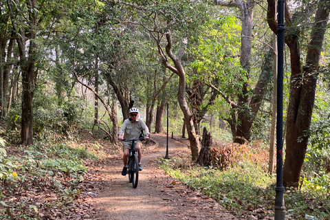 Luang Prabang: Guided Rice Field Bike Tour with Ferry Ride