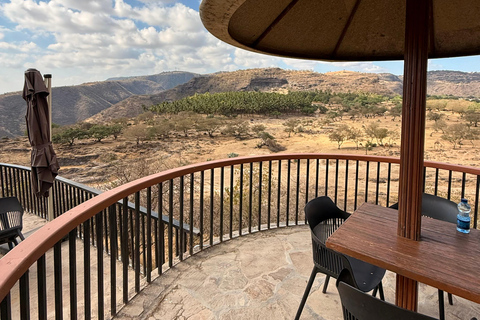 Salalah Local Life Tour: Camels, Coast & Natural Wonders