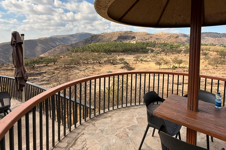 Salalah Local Life Tour: Camels, Coast & Natural Wonders