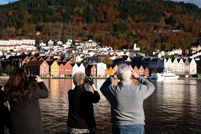 Bergen: minibustour langs de mooiste plekjes van de stad