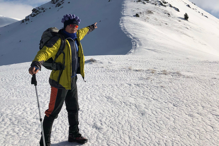 Mount Kenya: 4-Day Point Lenana Summit Adventure