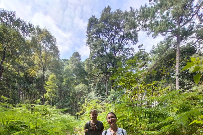 Chiang Mai: One Day Eco-Trek, Elephant care & Bamboo Rafting