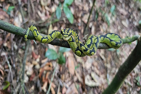 Sinharaja Rainforest Tour with Local Guide