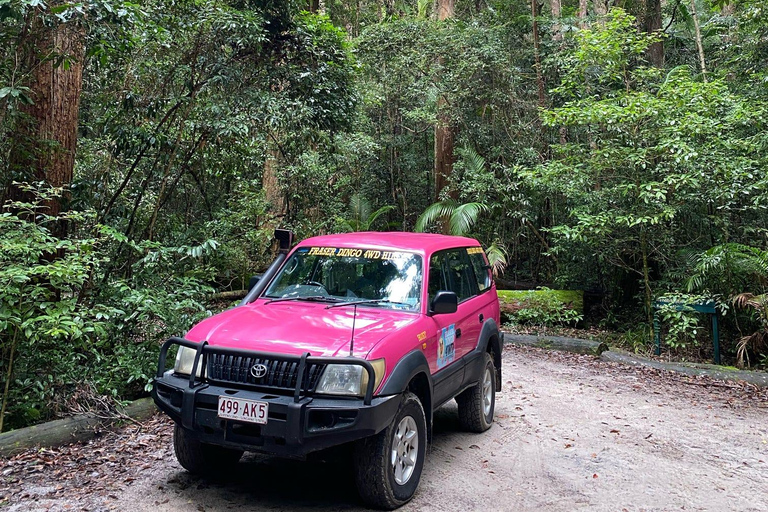 Excursión de 3 días de Hervey Bay a K&#039;gari/Isla Fraser (Casa en la playa)