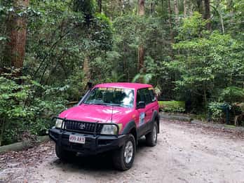 Hervey Bay nach K'gari/Fraser Island 3-Tages-Tour (Strandhaus)