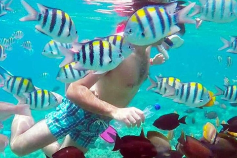 Gili Island: Snorkeling Tour To 3 Spot by Speedboat Canno Experience To Gilli Trawangan