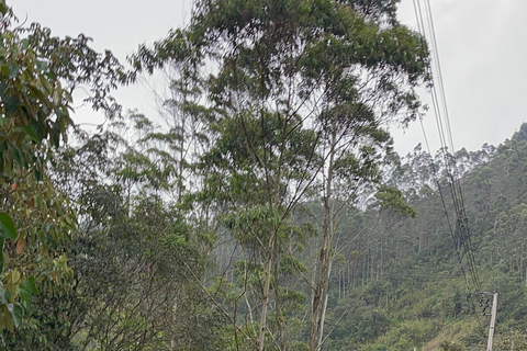 Medellín : excursion à cheval à Caldas avec boissonsMedellín : excursion équestre à Caldas avec boissons