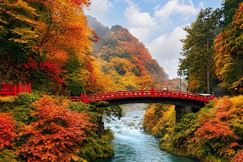 Nikko: Kegon Falls, Chuzenji, Shinkyo Bridge, Toshogu Temple In Luxury Toyota Crown: Nikko Private Tour