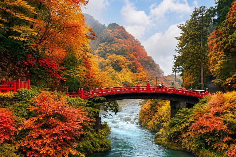 Nikko: Kegon Falls, Chuzenji, Shinkyo Bridge, Toshogu Temple In Luxury Velfire Nikko Private Customized Tour