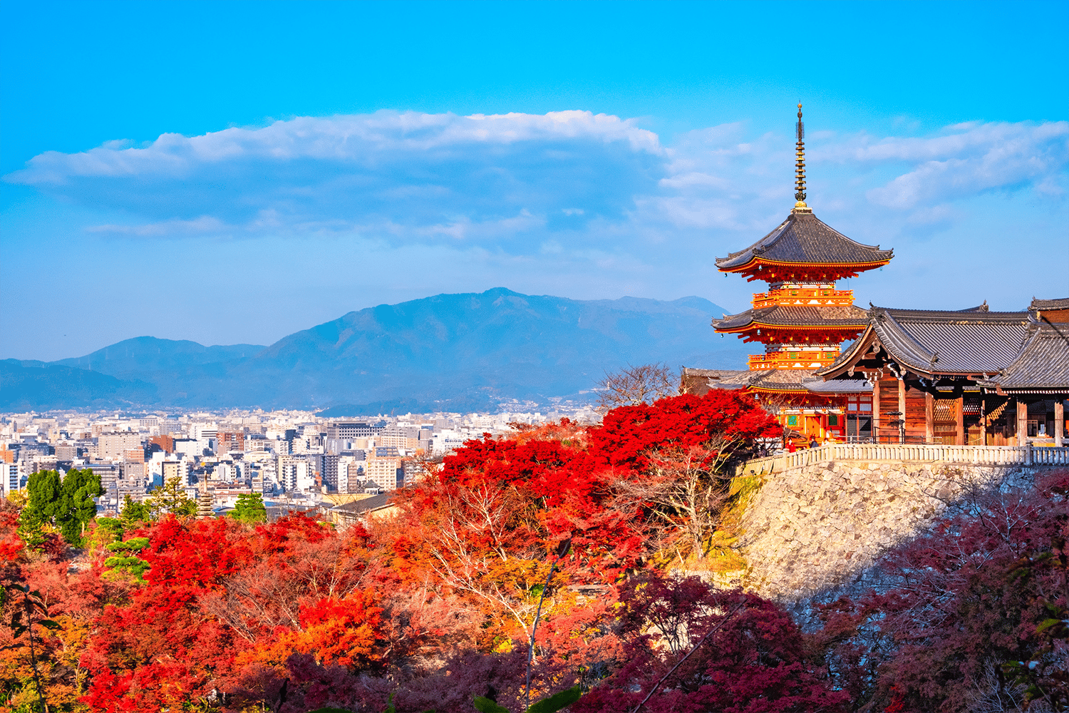 Tagestour: Der alte Charme von Nara & Kyoto