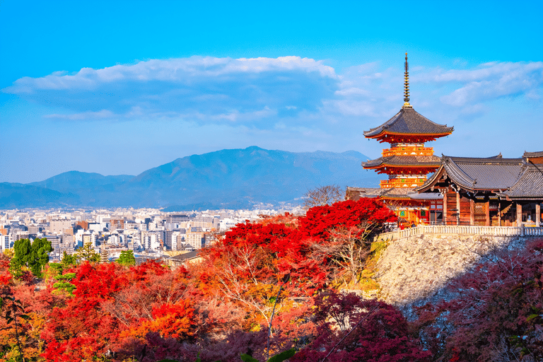 Nara & Kyoto Ancient Charm One-Day Tour Osaka Metro Nippombashi Station, Exit 2 (8:40)