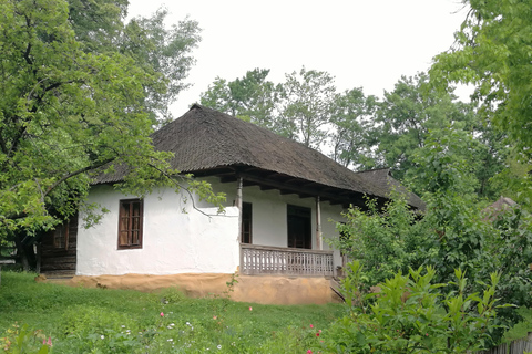 Tour guidato del Museo del Villaggio di Bucarest