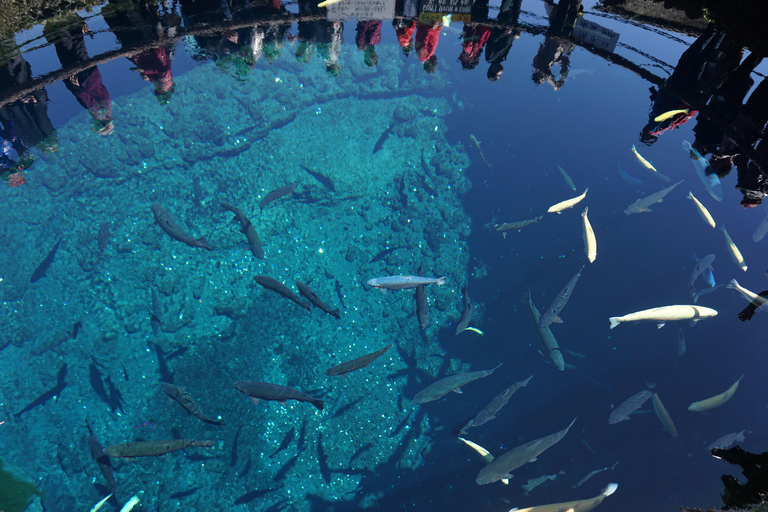 طوكيو: جولة خاصة قابلة للتخصيص ليوم كامل في جبل فوجي