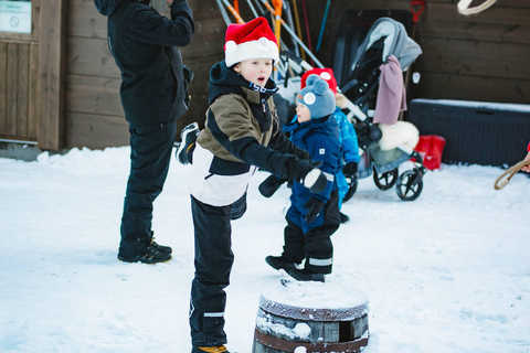 Levi：Arcandia，精灵法庭/日光和公园/黑暗精灵法庭：3 小时体验和公园之旅