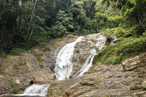 كوالالمبور كاميرون هايلاندز مزارع الشاي وجولة ذات مناظر خلابةكوالالمبور مرتفعات كاميرون مزارع ال
