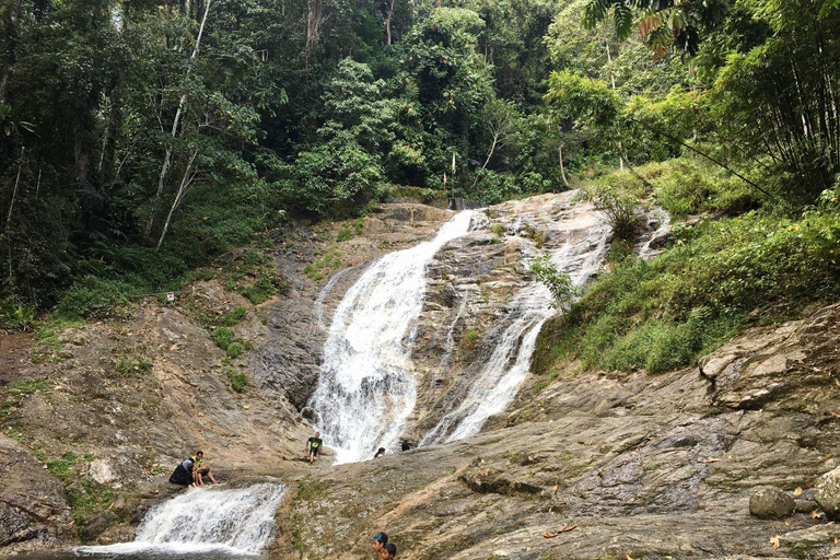 كوالالمبور كاميرون هايلاندز مزارع الشاي وجولة ذات مناظر خلابةكوالالمبور مرتفعات كاميرون مزارع ال