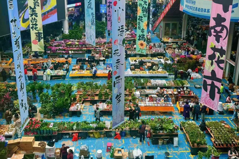 From Kunming: 7-Day Yunnan cultural private Tour