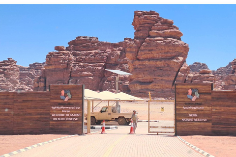 Amman: 7-Day Jordan and Saudi Arabia Trip