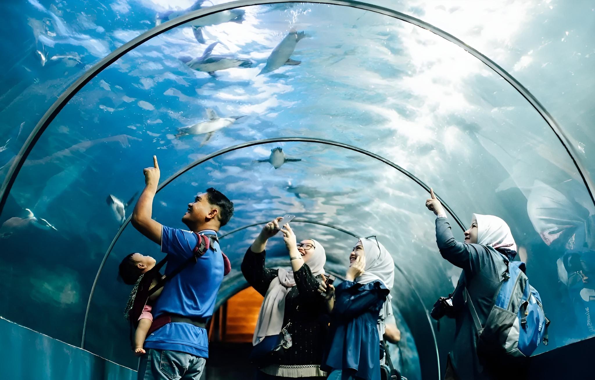 Langkawi: Underwater World Langkawi Entry Ticket