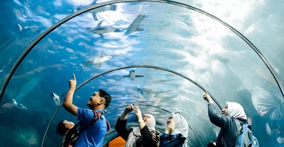 Family in an underwater acrylic tunnel looking up and pointing at penguins and fish swimming overhead in blue-lit water