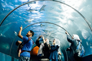 Theme Parks in Langkawi