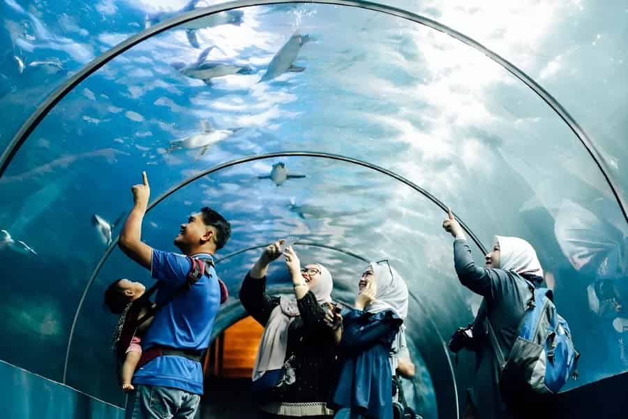 Langkawi: Underwater World Langkawi Entry Ticket. Foto: GetYourGuide