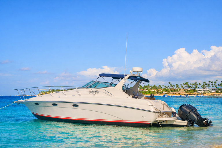 Romantic Flight – The Ultimate Punta Cana Love Experience