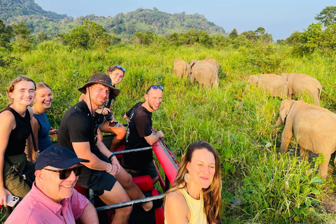 Minneriya National Park: Elephant Watching Safari with Guide Minneriya National Park: Sunrise Elephant Safari with Guide