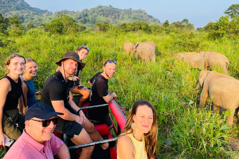 Minneriya National Park: Elephant Watching Safari with Guide Minneriya National Park: Sunrise Elephant Safari with Guide