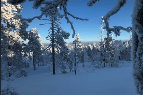 Levi: Private Snowshoe Walk with Tesla Pickup & Drink