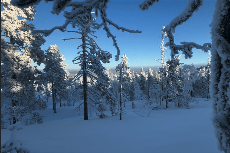 Levi: Private Snowshoe Walk with Tesla Pickup & Drink