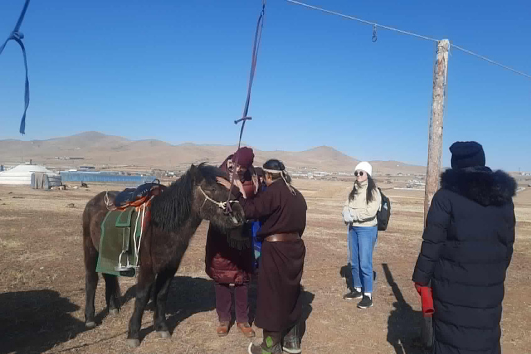 Ulaanbaatar: Mongolian Culture Tour with full day activities