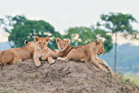 Lake Eyasi 3-Tage-private Tour mit dem Hadza-Stamm3-tägige private Tour am Eyasi-See mit dem Hadza-Stamm