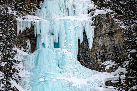 From Banff Guided Johnston Canyon Night Walk and Stargazing Banff: Guided Johnston Canyon Night Walk and Stargazing