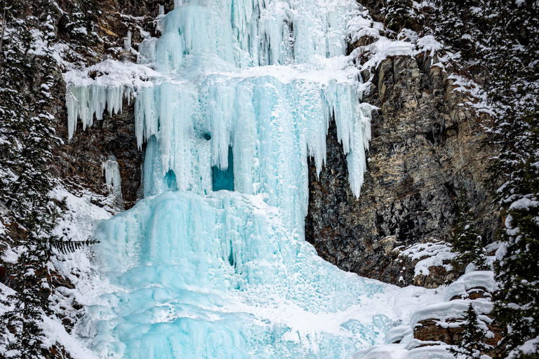 From Banff Guided Johnston Canyon Night Walk and Stargazing Banff: Guided Johnston Canyon Night Walk and Stargazing