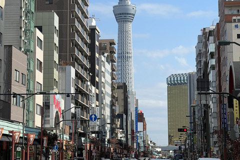 Guía privado de habla francesa en TOKIO