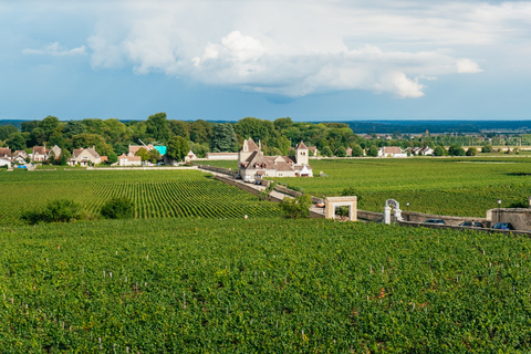 From Beaune: Burgundy Day Trip with 14 Wine Tastings