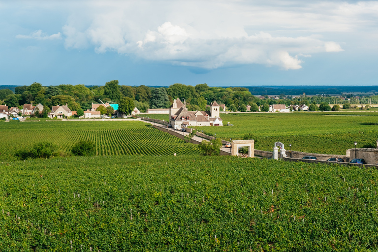 From Beaune: Burgundy Day Trip with 14 Wine Tastings