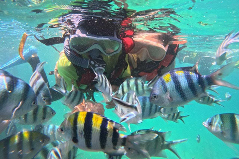 Bintan car charter + Driver Bintan Car Rent