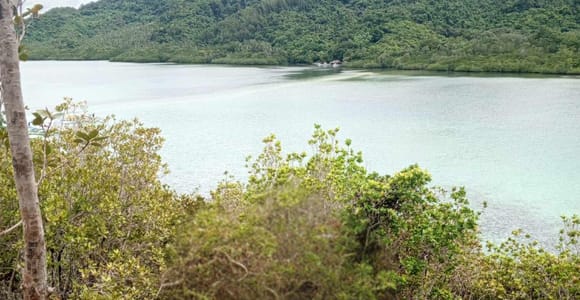 El Nido: Tour B with Snake Island, Cudugnon Cave, and More