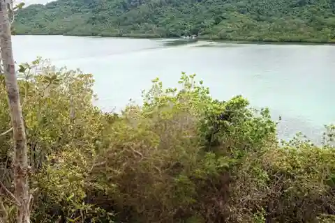 El Nido: Tour B with Snake Island, Cudugnon Cave, and More