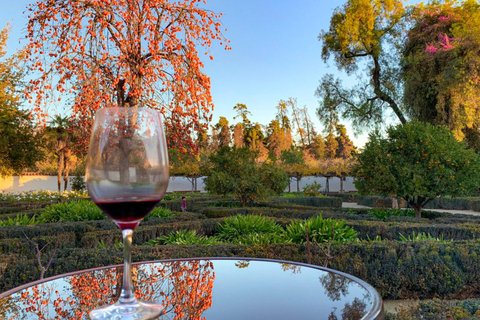 Z Santiago: Wycieczka do winnicy Viña Santa Rita z transferem